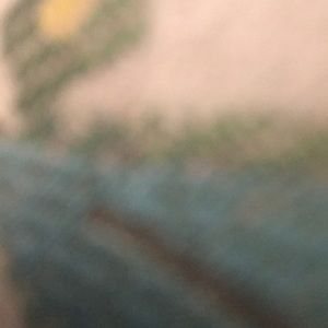 Meet your Posher, Victor